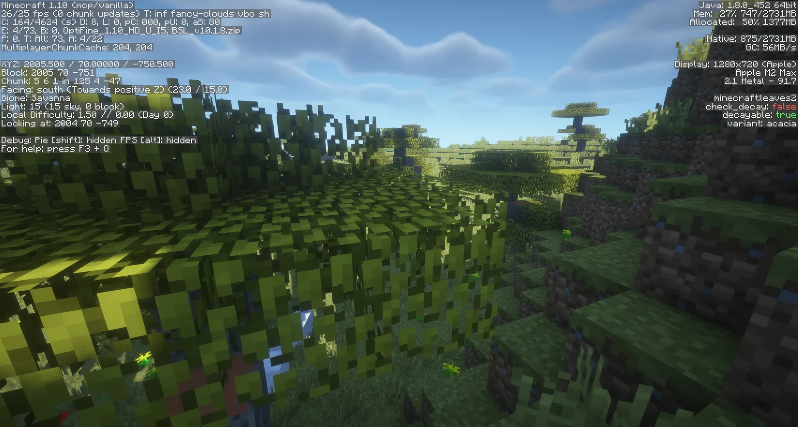 OptiFine 1.10 HD U I5