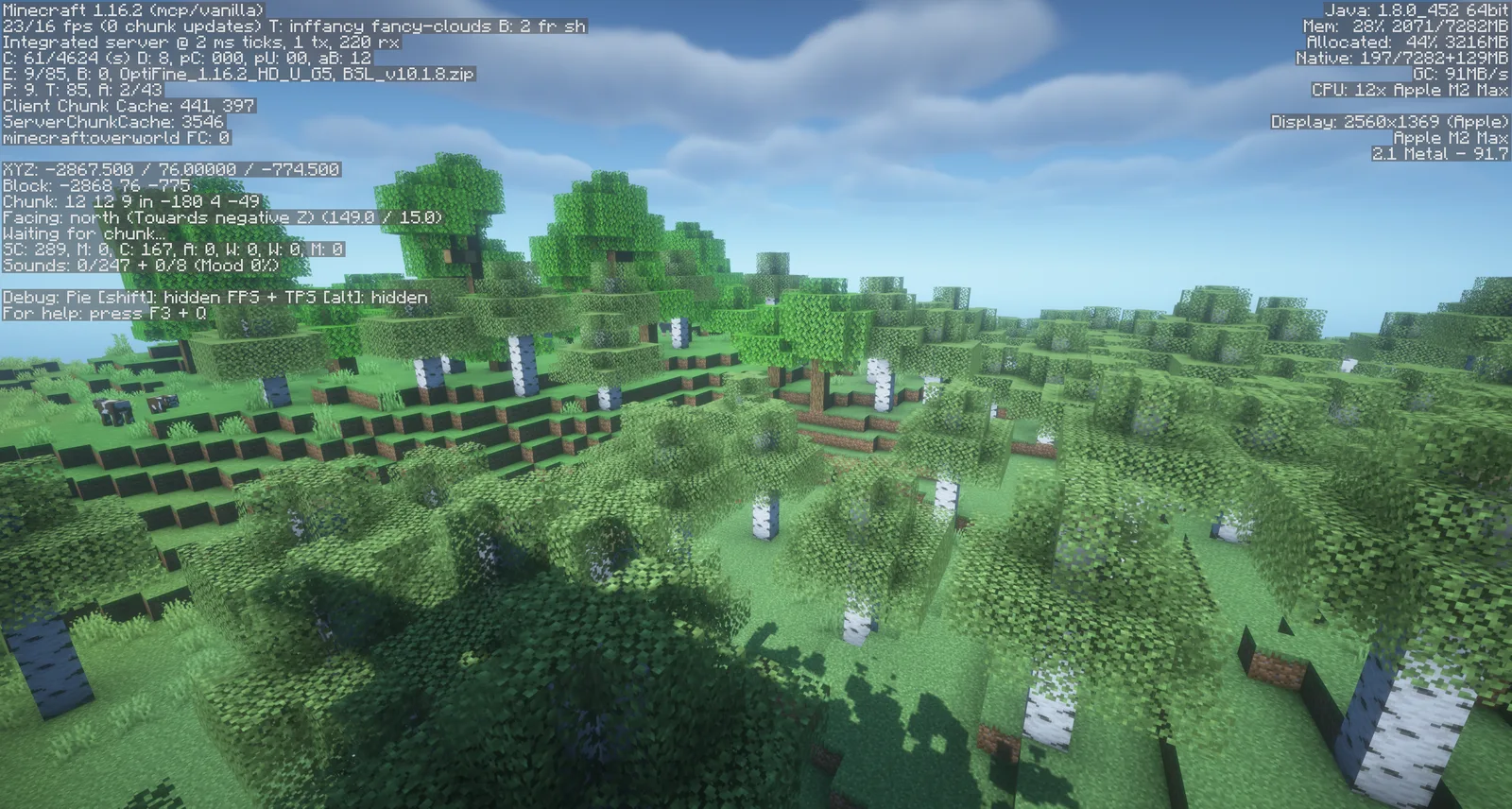 OptiFine 1.16.2 HD U G5