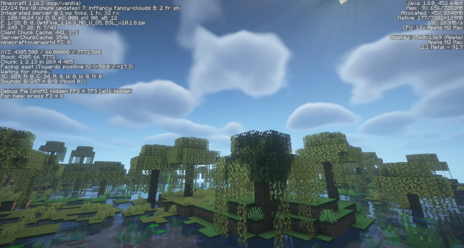 OptiFine 1.16.3 HD U G5