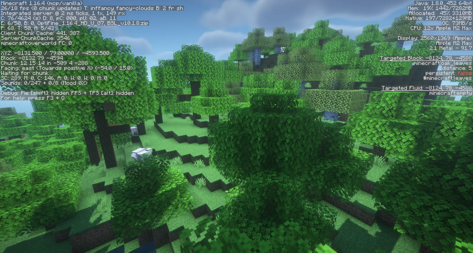 OptiFine 1.16.4 HD U G7