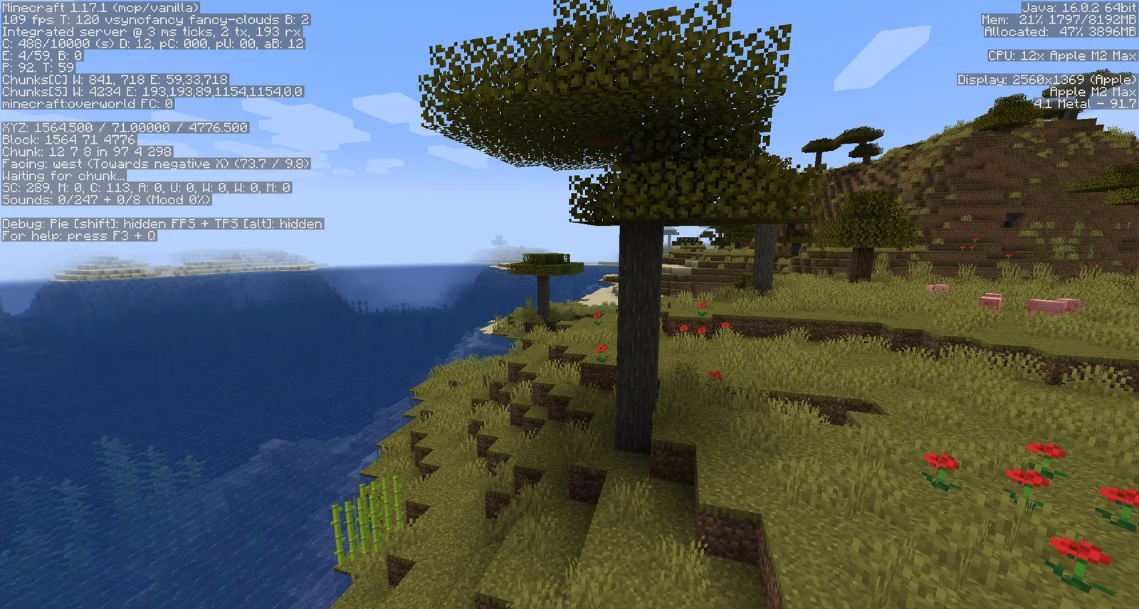 OptiFine 1.17.1 HD U G9