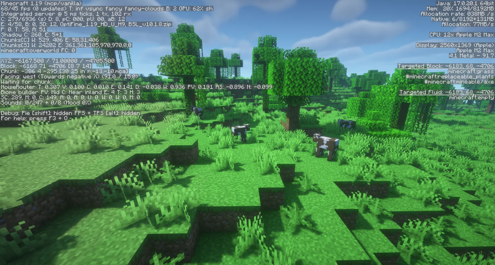 OptiFine 1.19 HD U H9