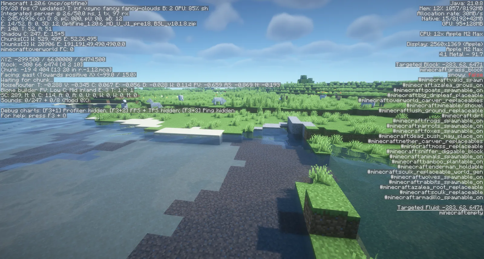 OptiFine 1.20.6 HD U J1 pre18