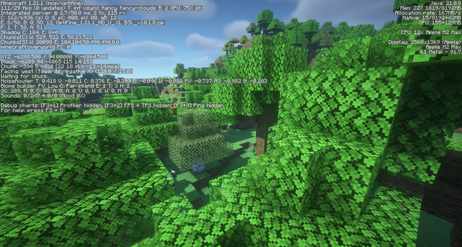 OptiFine 1.21.1 HD U J1