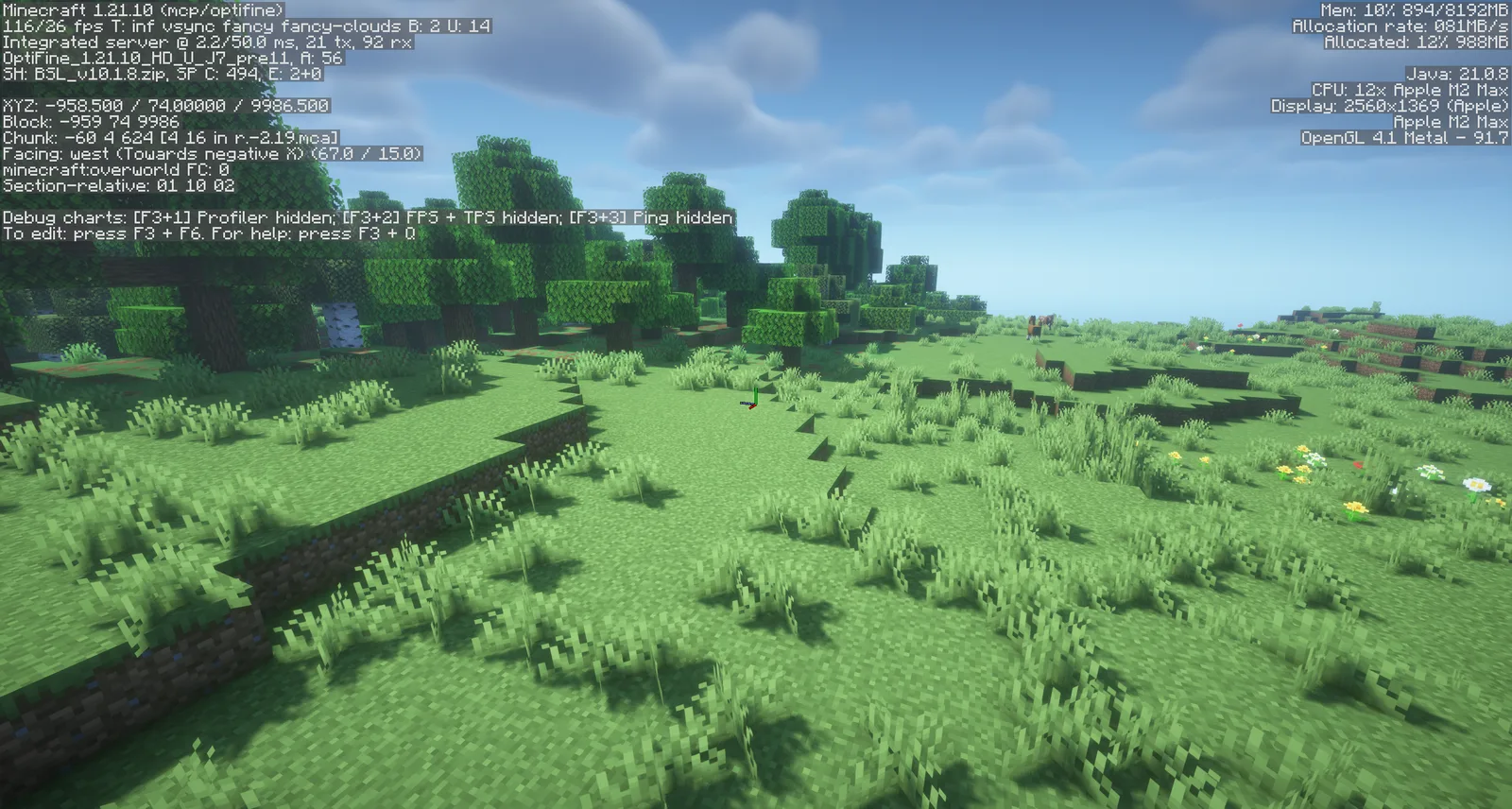 OptiFine 1.21.10 HD U J7 pre11