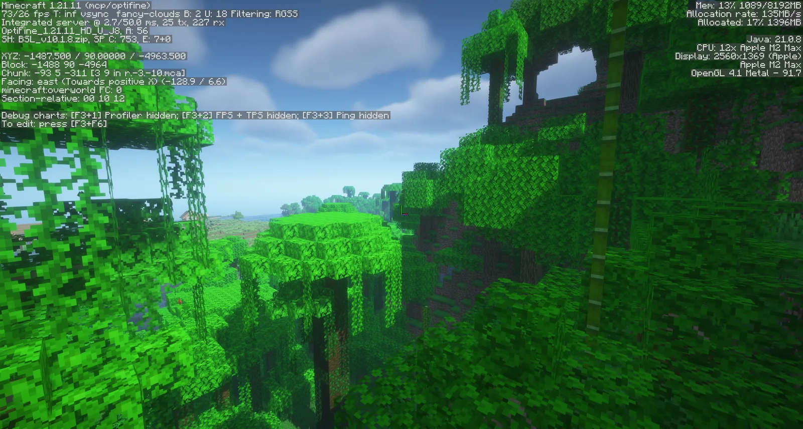 OptiFine 1.21.11 HD U J8