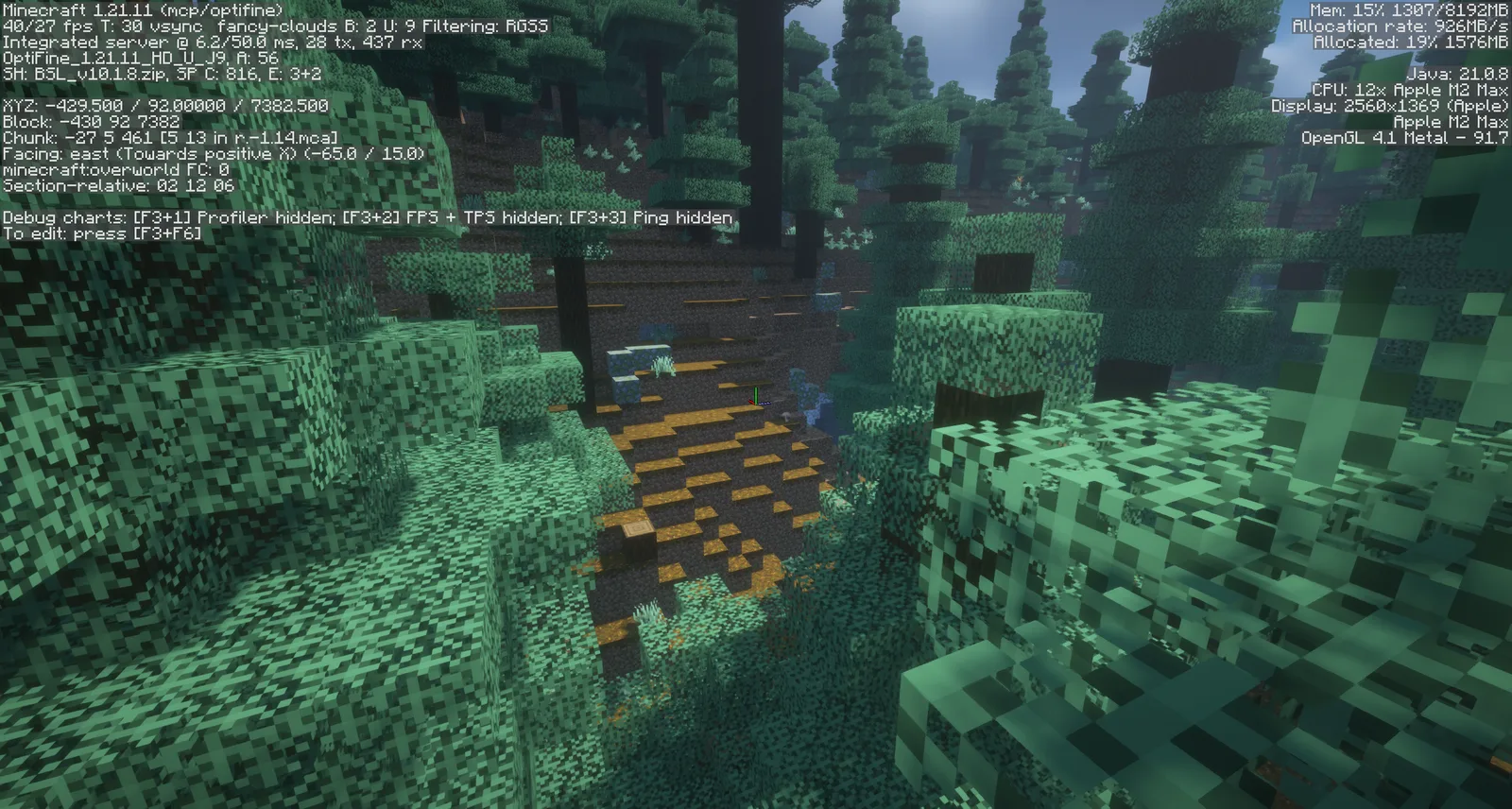 OptiFine 1.21.11 HD U J9