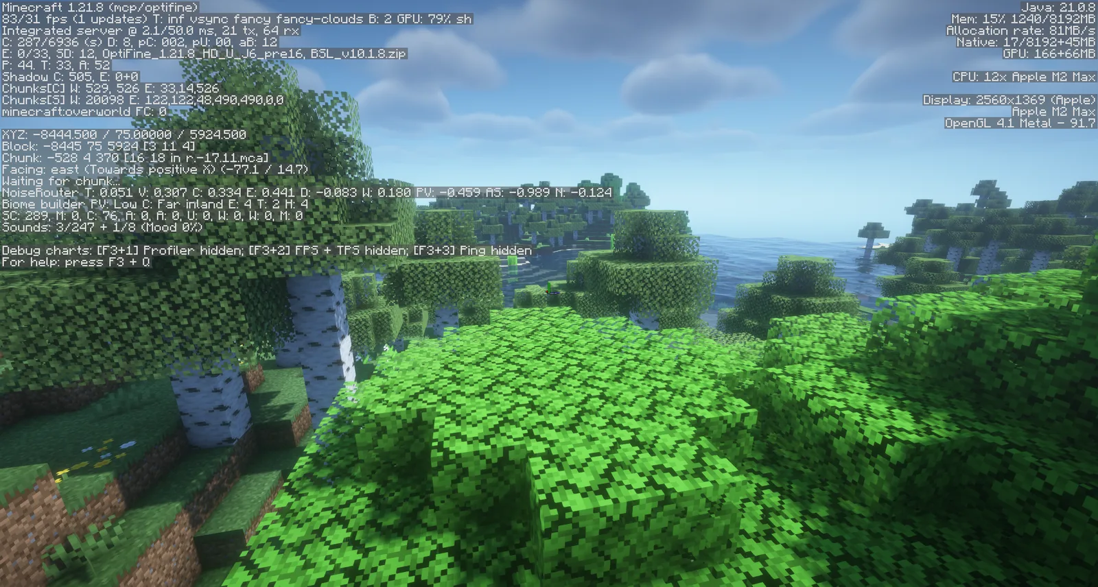 OptiFine 1.21.8 HD U J6 pre16