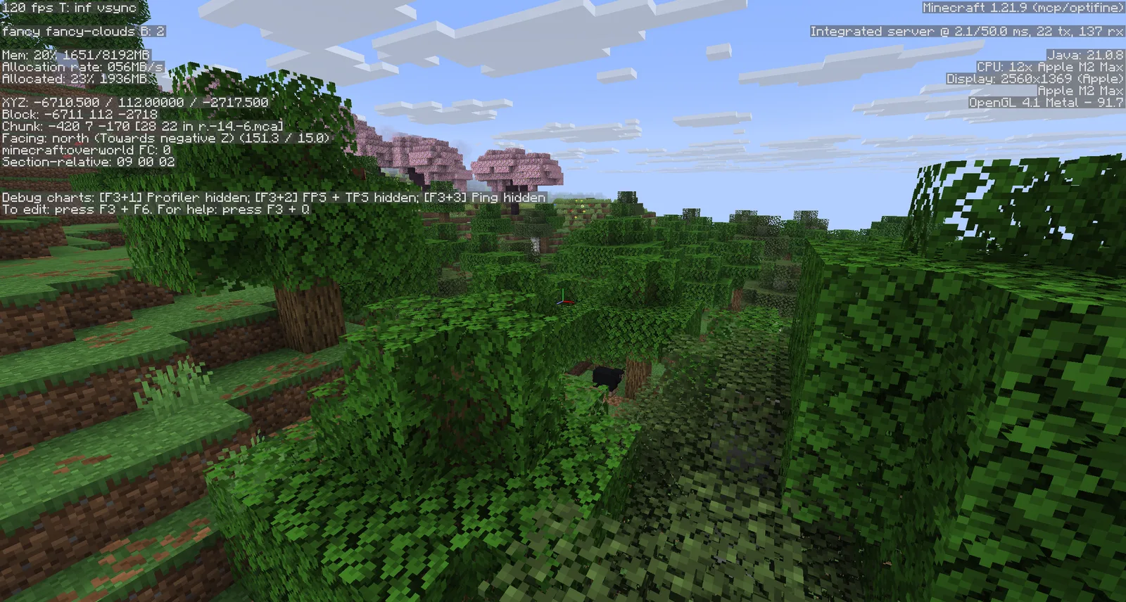 OptiFine 1.21.9 HD U J7 pre2